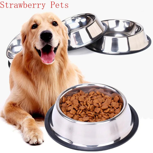 Dog food Bowl 