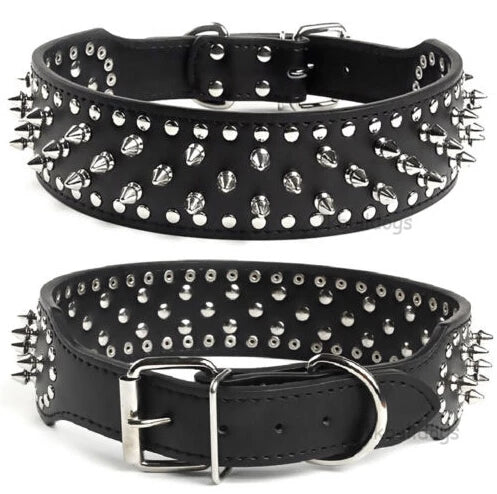 Large Dog 2 inch Wide with Spiked Studded Collar