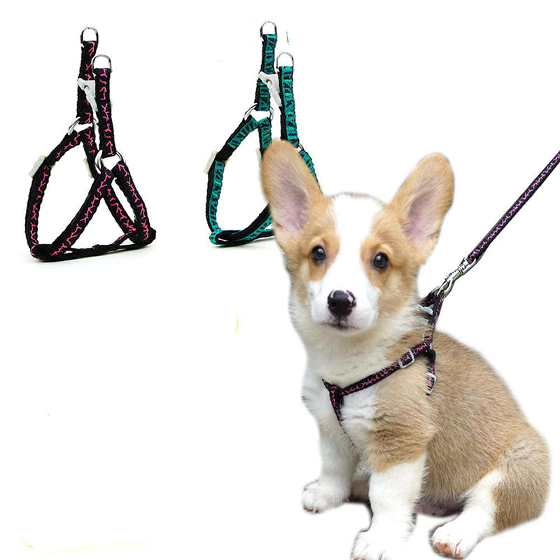 Dog Harness Pet Collars l Price in Sri Lanka