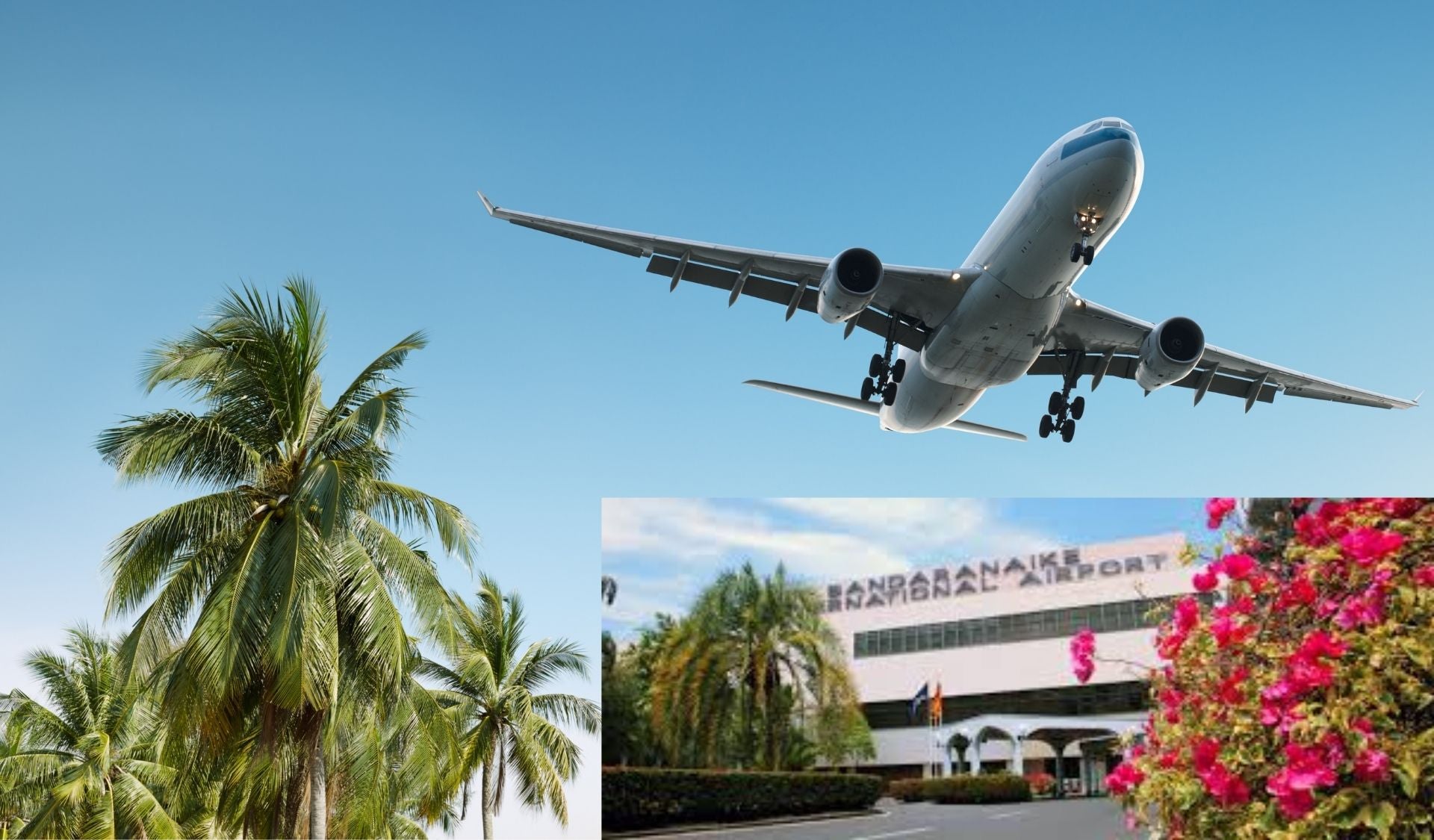 Airplane flying over palm trees near Katunayake Airport terminal building.