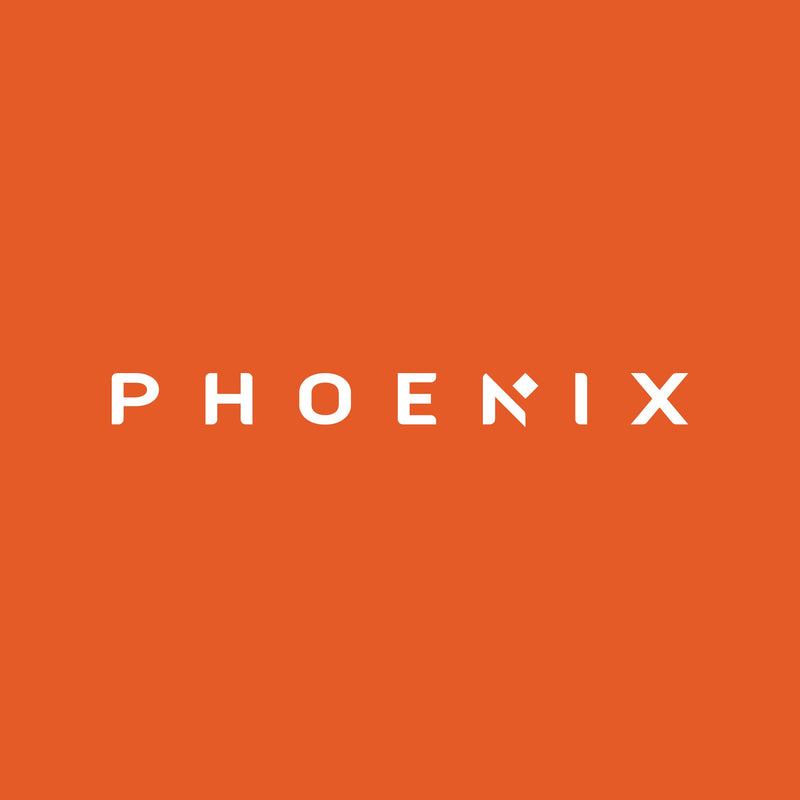 Phoenix Storage & Organization logo on bold orange background