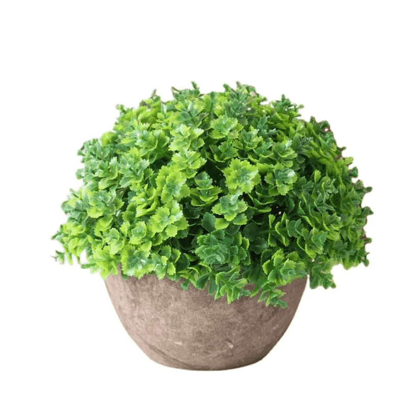 Artificial green plant small tree pot for home decor, ideal for tabletops or office desks. Shop Artificial Plants & Flowers at Bamagate.com Sri Lanka.