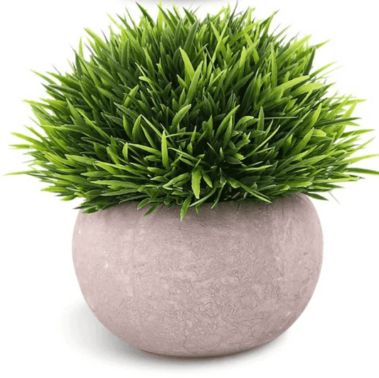 Artificial Green Grass Pot with round cement-style base, ideal for home decor. Best price in Sri Lanka for tabletop artificial plant pots.