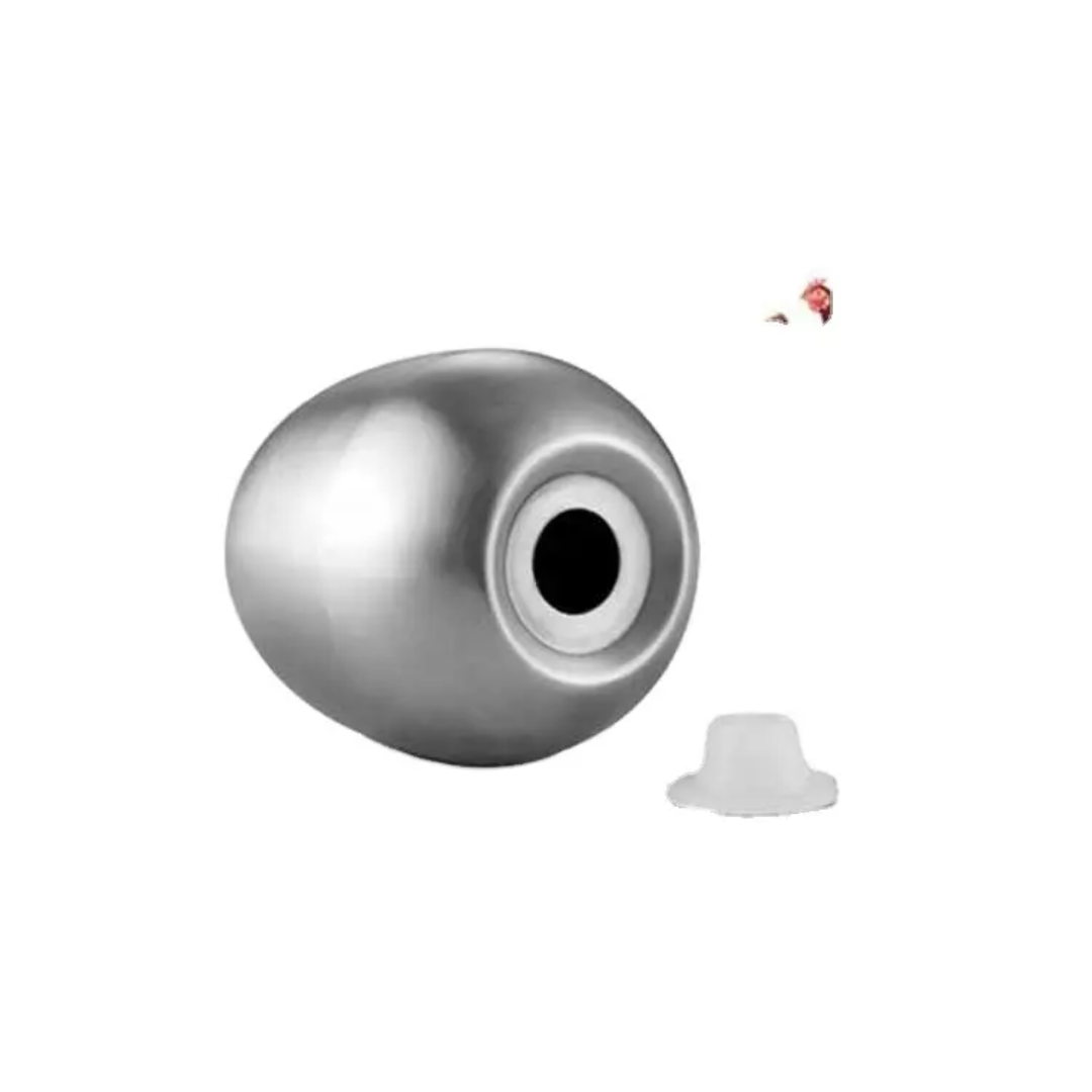 Stainless Steel Egg-Shaped Salt Shaker