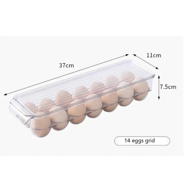 egg storage box