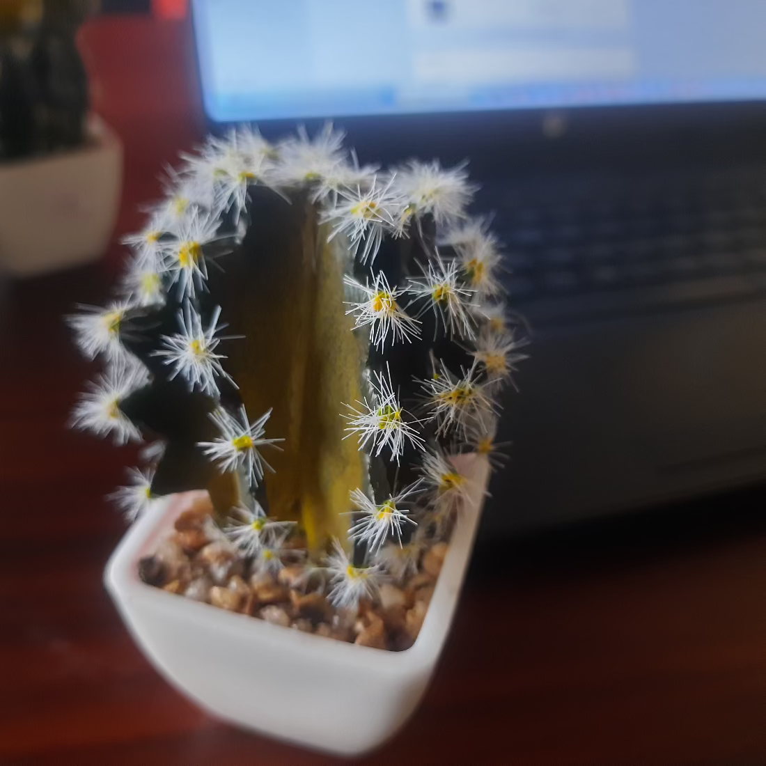  Artificial Cactus Plant Bamagate.com