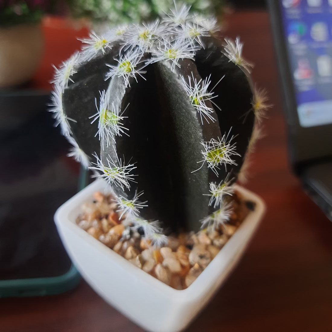  Artificial Cactus Plant