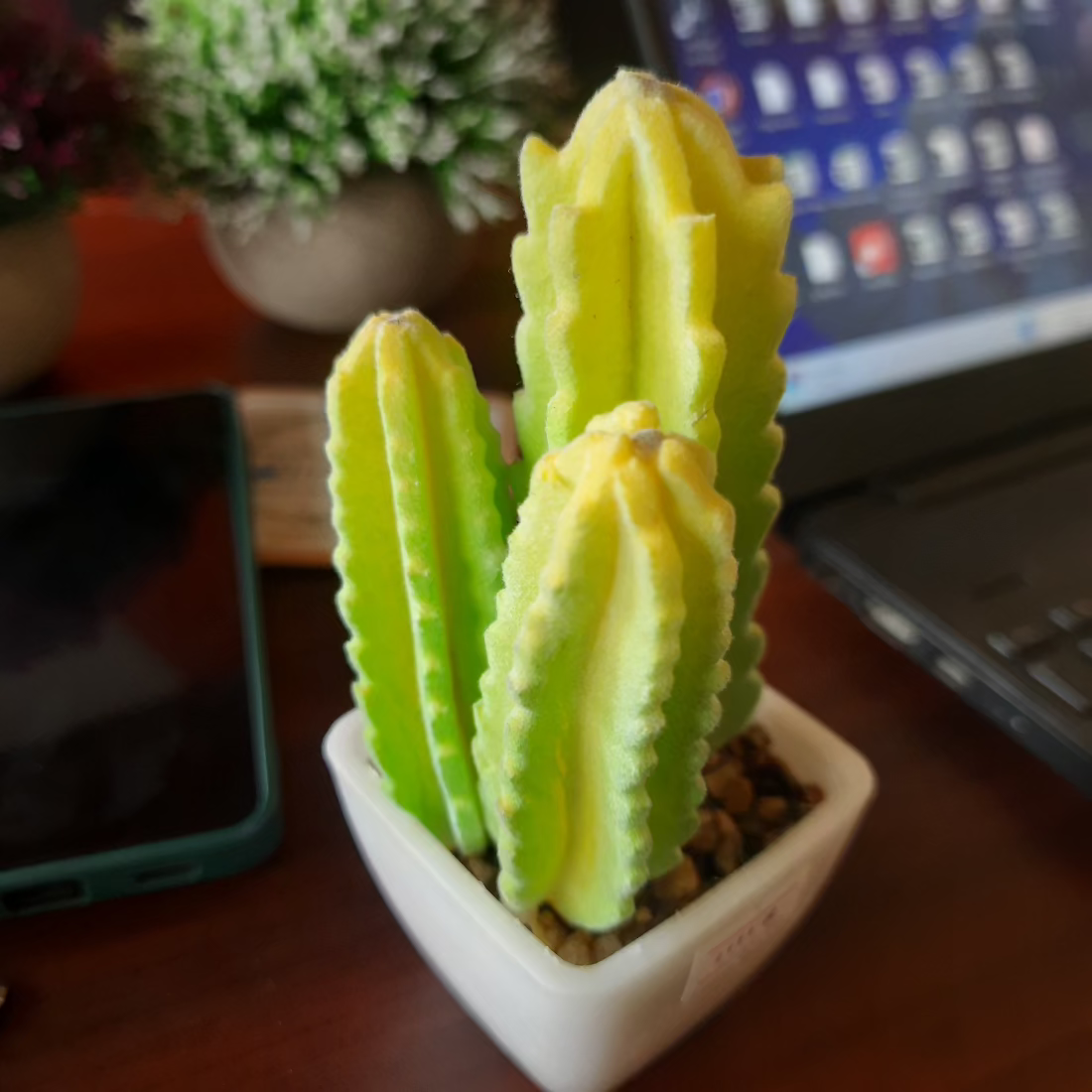  Artificial Cactus Plant Bamagate.com