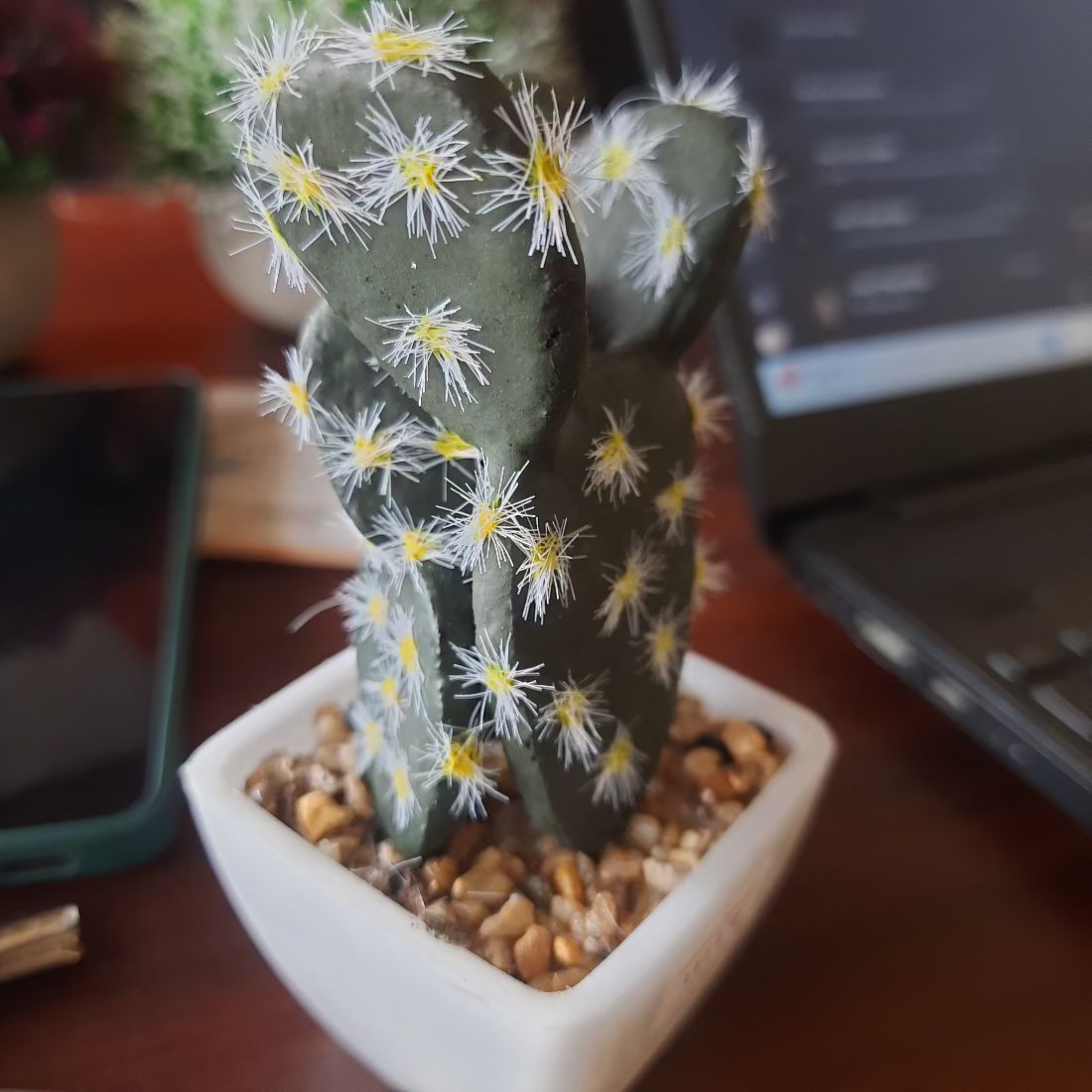  Artificial Cactus Plant Bamagate.com