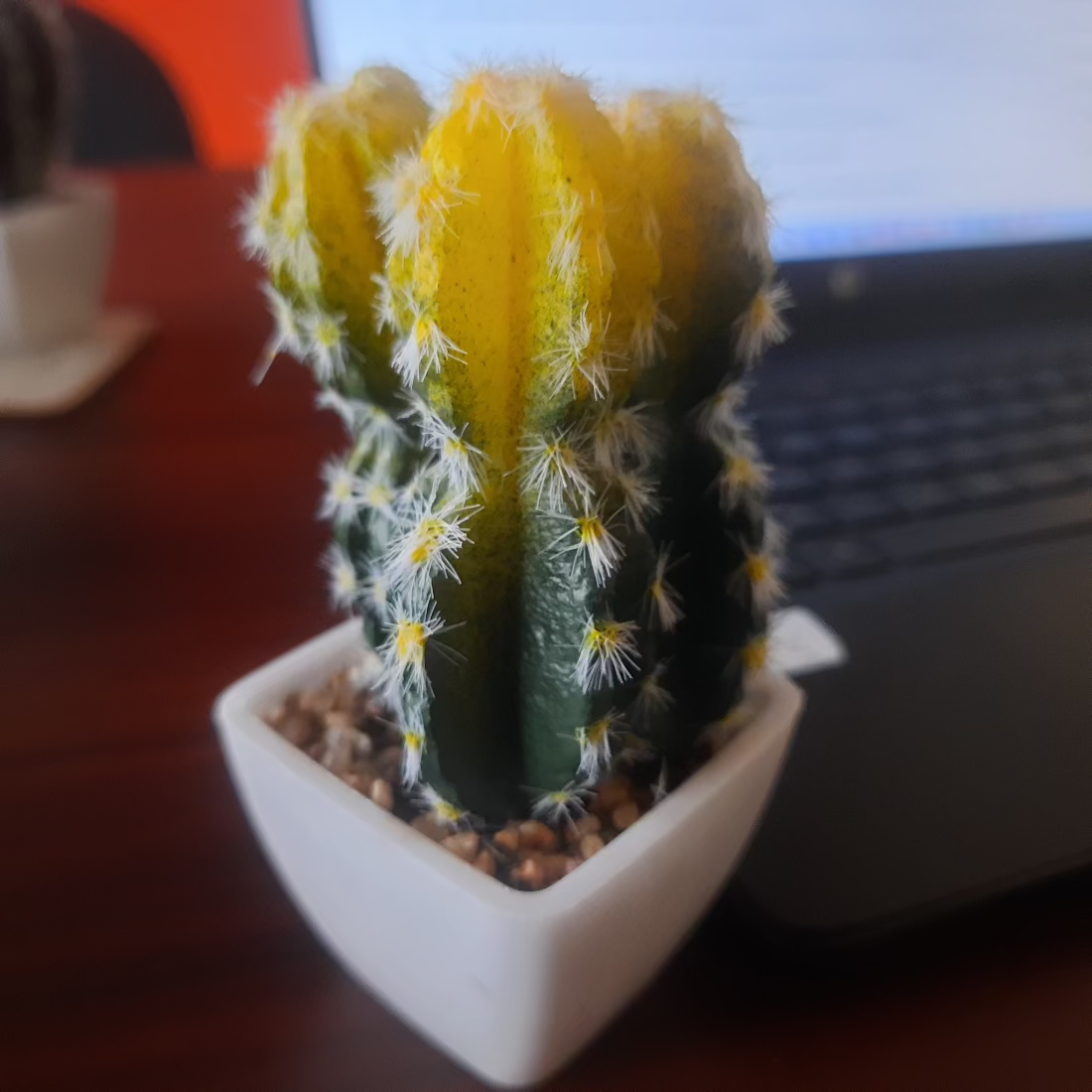  Artificial Cactus Plant Bamagate.com