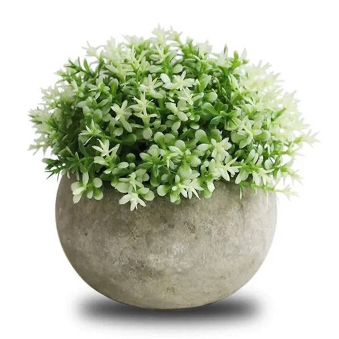 Artificial Plant with Cement Pot