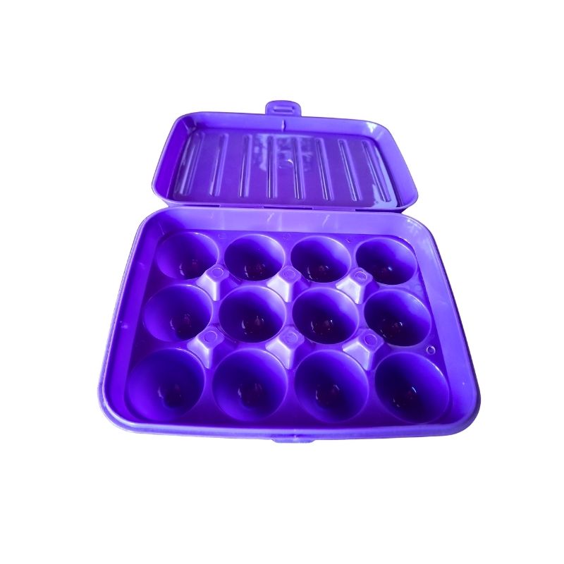 Egg Storage Box 12 Slot