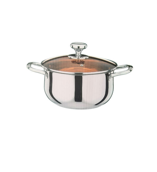 Stainless Steel Stockpot with Glass Lid