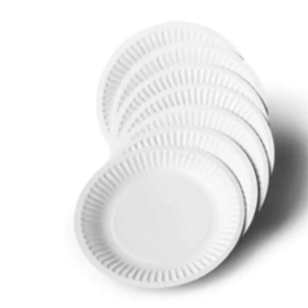 Disposable Paper Plate White