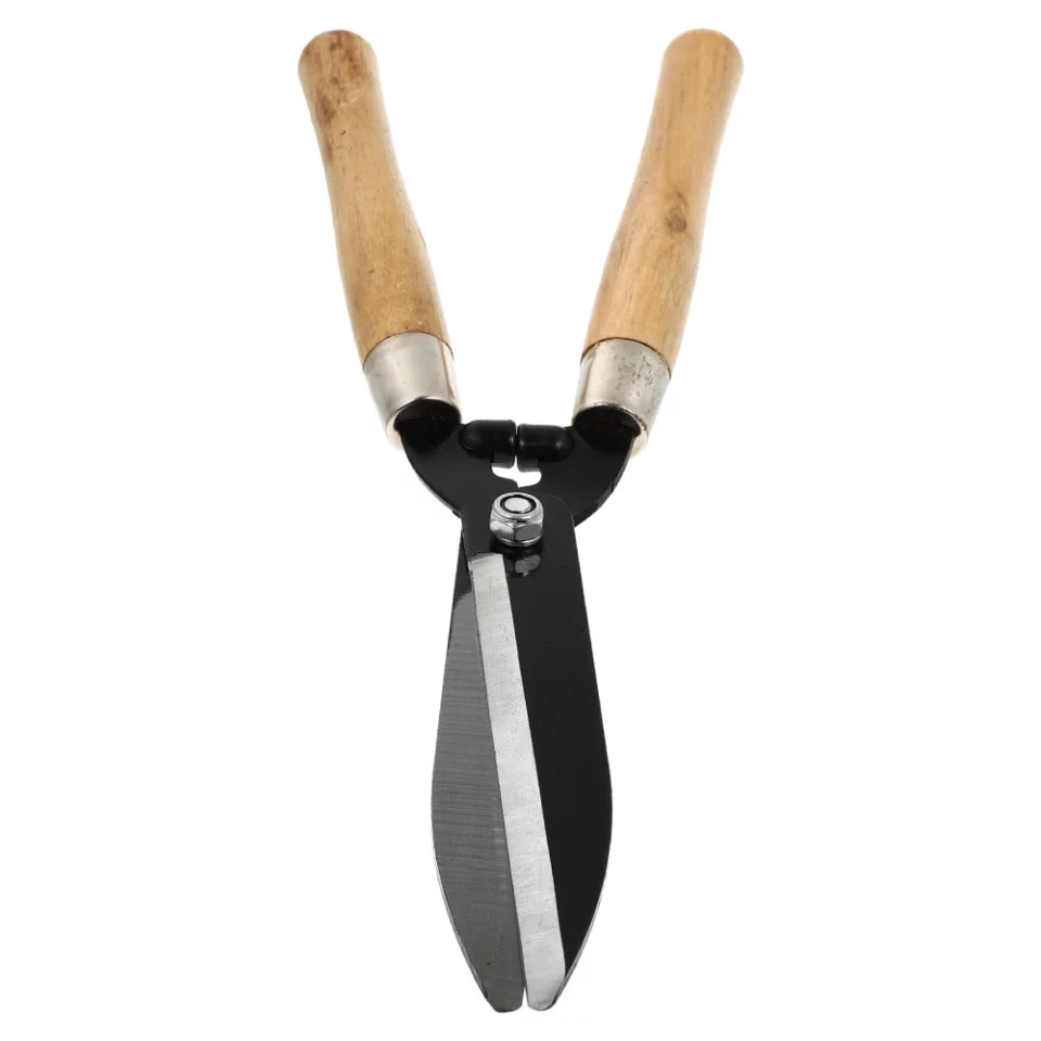 Close-up of 21.5 inch garden hedge shear featuring sharp blades and ergonomic wooden handles, essential gardening tool for precise hedge cutting.