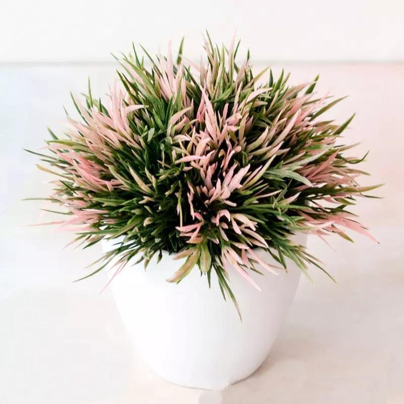 Colour Artificial Plant Small Tree Pot Home Decoration - Bamagate