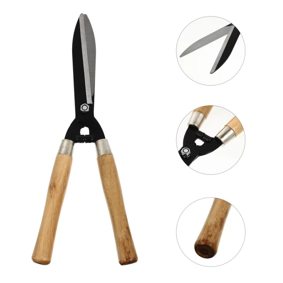 21.5 inch garden hedge shear with forged metal blades and wooden handles, ideal garden tool in Sri Lanka for trimming hedges and shrubs.
