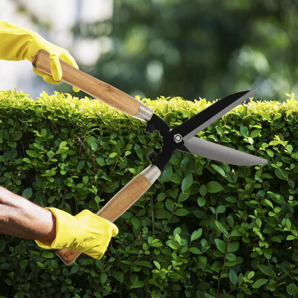 Heavy-duty garden hedge shear in use, trimming a green hedge; perfect garden tool for home gardening in Sri Lanka from Bamagate.com.