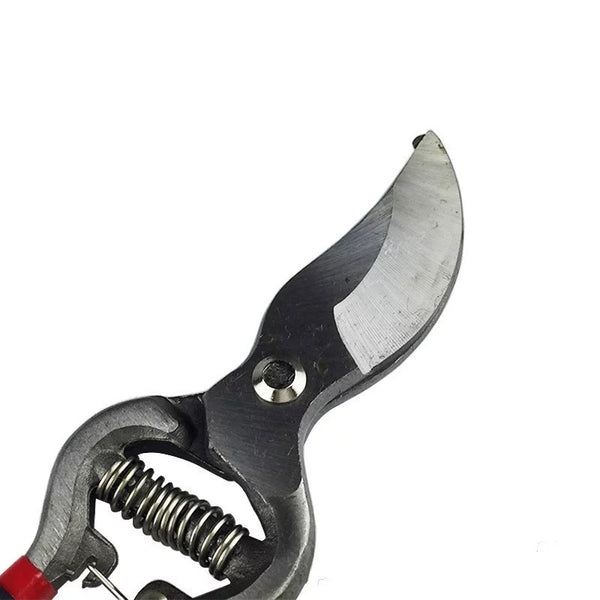 garden scissor pruning tool