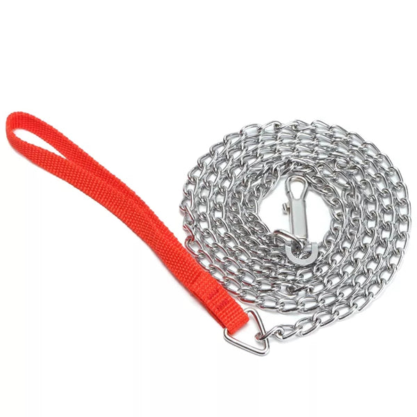 dog leash metal chain