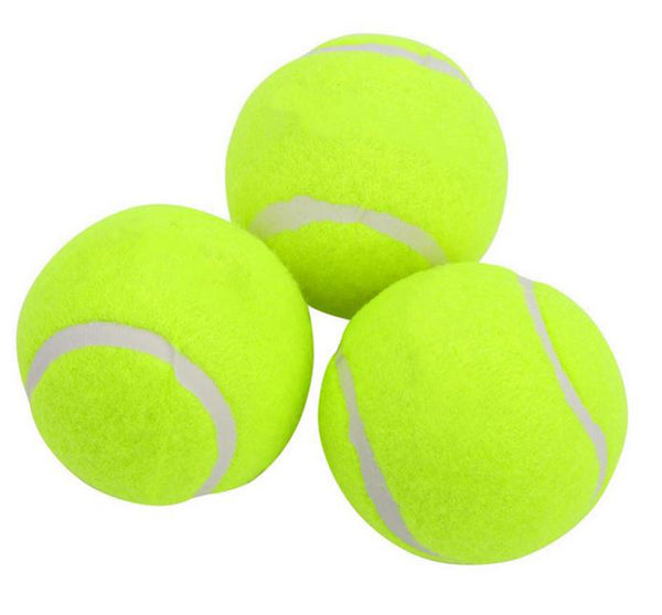 dunlop cricket tennis ball
