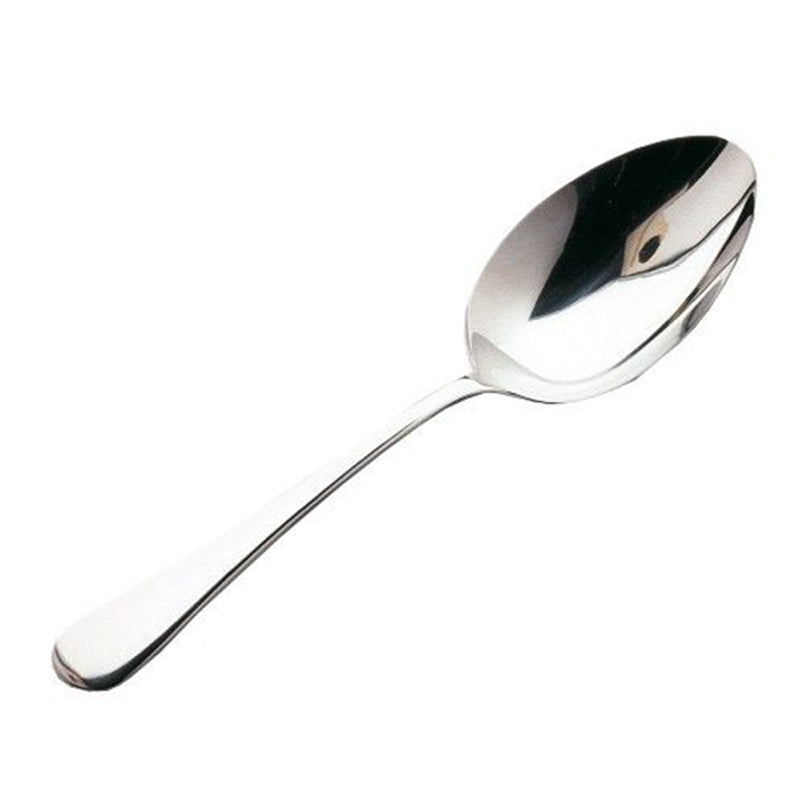 large serving spoon stainless steel