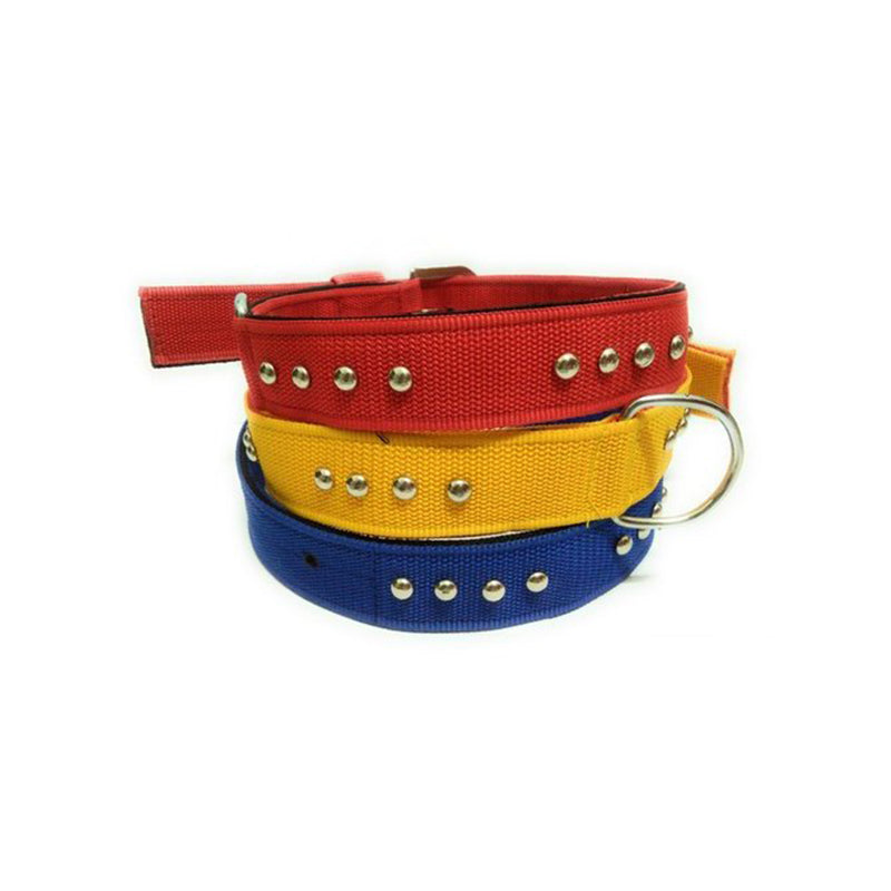 pet dog collars