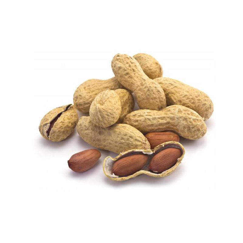 Ground Nut Bulk Price in Sri Lanka
