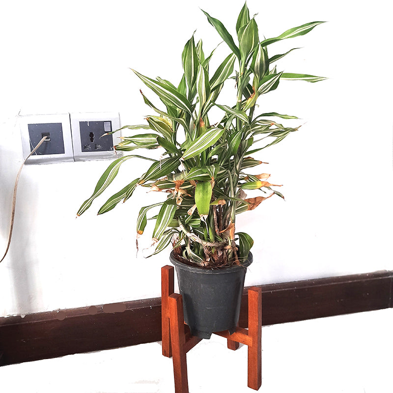 wooden flower pot holder